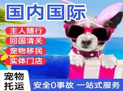 三亚凤凰航空物流国际宠物托运 【国